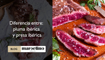 Diferencias entre pluma ibérica y presa ibérica