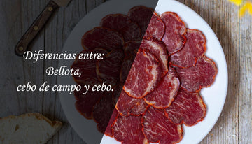 Diferencias entre: Bellota, cebo de campo y cebo