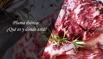 Pluma ibérica: ¿Qué es y dónde está?