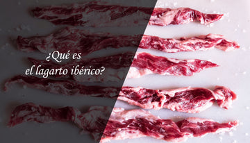 ¿Qué es el lagarto ibérico?