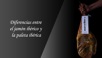 Diferencias entre el jamón ibérico y la paleta ibérica