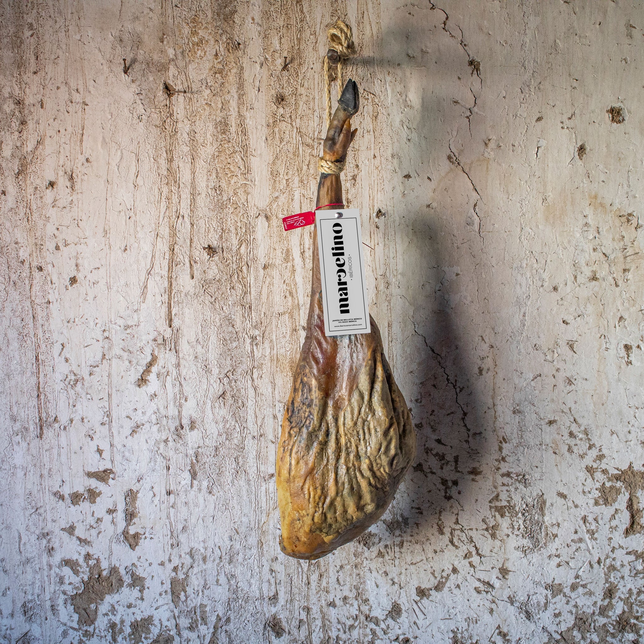 Jamón de Bellota ibérico 50-75% raza Ibérica