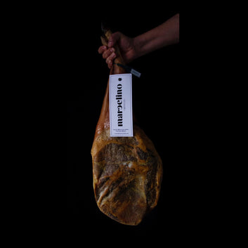 Paleta cebo de campo ibérica