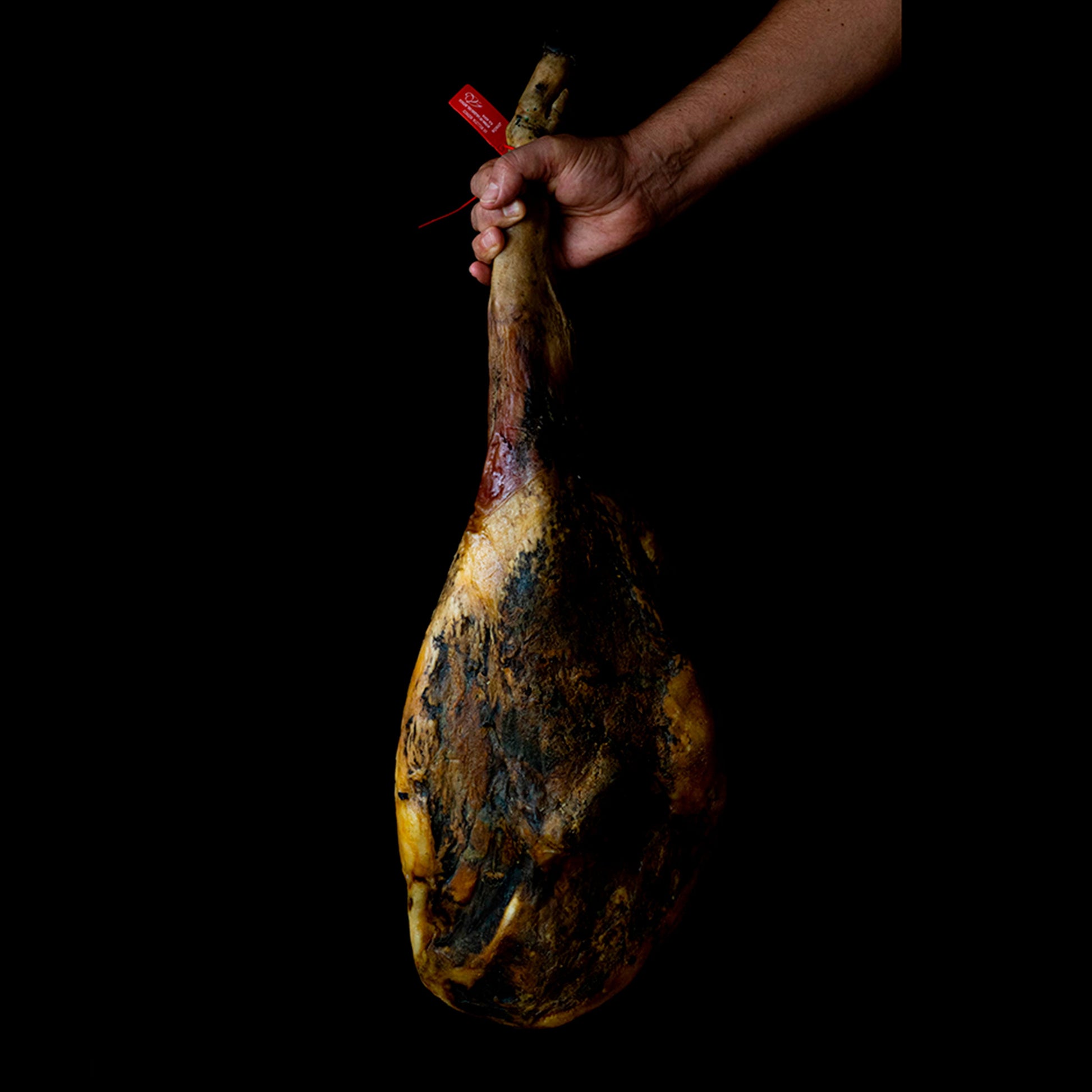 jamón de bellota 50 raza ibérica