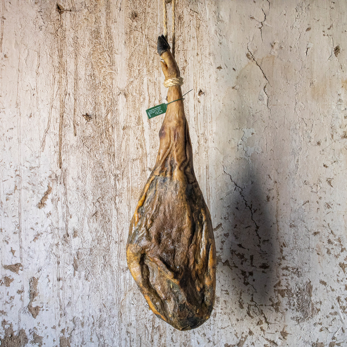 Jamón de cebo de campo 100% ibérico