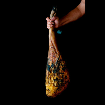 Jamón cebo de campo ibérico