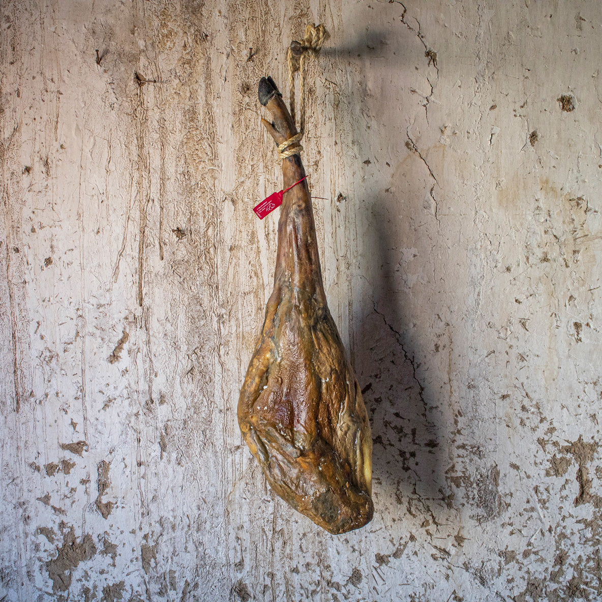 jamon_bellota-50_iberico-brida roja